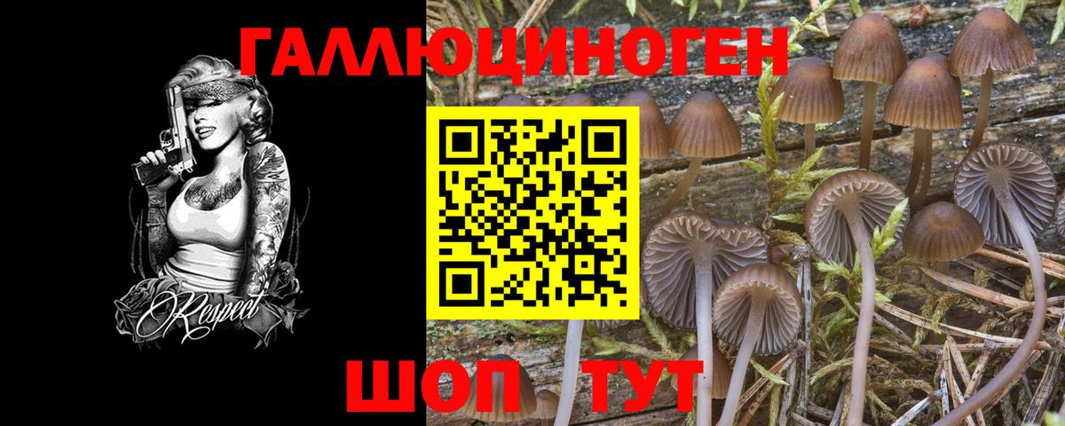 Владикавказ  Галлюциногенные грибы Psilocybe  Вход с VPN  Галлюциногенные грибы Cubensis 