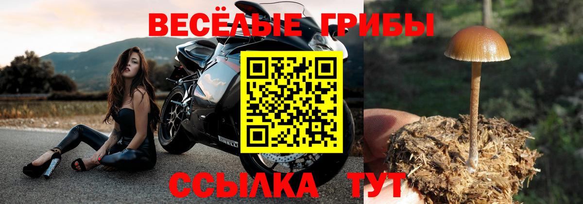 Псилоцибиновые грибы мухоморы Владикавказ